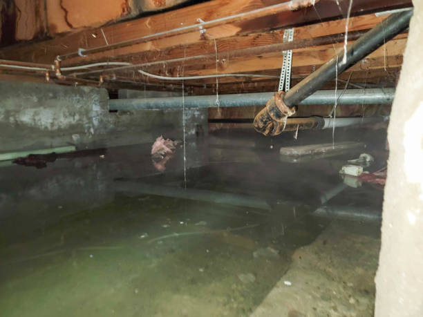 Best Emergency water damage restoration  in Canadian Lakes, MI