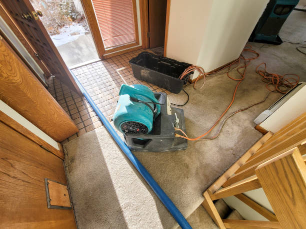 24/7 water damage repair in MI