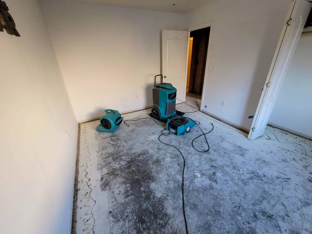 Best Carpet water damage restoration  in Canadian Lakes, MI