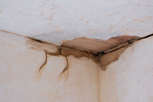 Best Fire Damage Restoration  in Canadian Lakes, MI