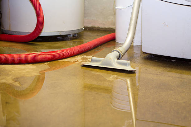 Best Mold removal after water damage  in Canadian Lakes, MI