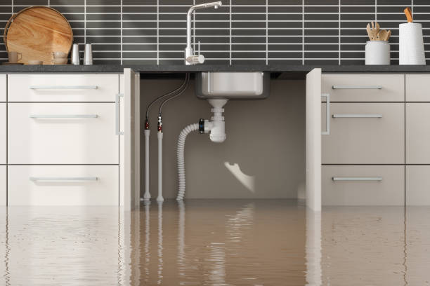 Best 24/7 water damage repair  in Canadian Lakes, MI